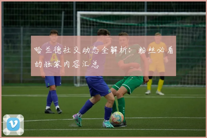哈兰德社交动态全解析：粉丝必看的独家内容汇总